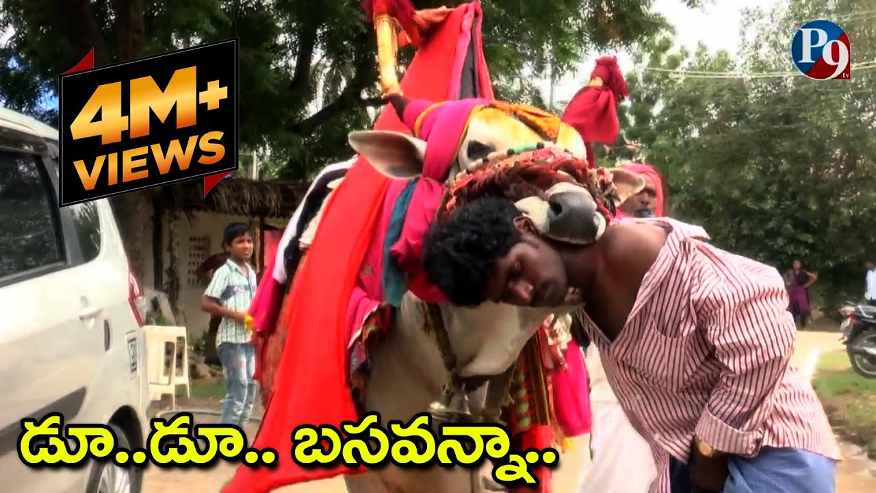 Du Du Basavanna || P9 TV