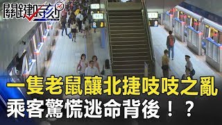 一隻10公分老鼠釀北捷「吱吱之亂」 百名乘客驚慌逃命背後…！？ 關鍵時刻 20180705-1 朱學恒 黃世聰 馬西屏 劉燦榮