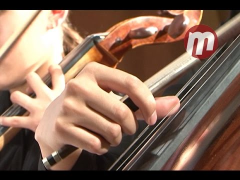 Итоги и планы