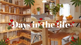 VLOG | new furniture, gardening, cooking, organizing, weekly homemaking