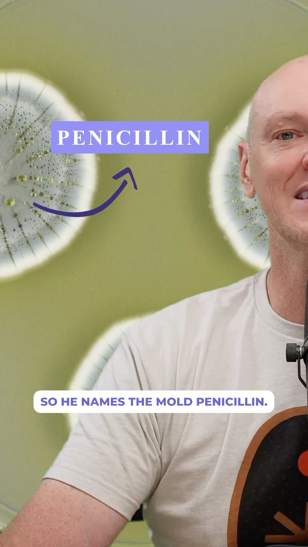 The Invention of Penicillin - YouTube