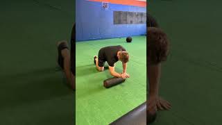 Quadruped 1-arm Serratus Floor Slides w/Foam Roller