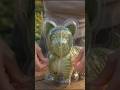 Dog Cabbage Mold Magic 🐶🥬 #Shorts #FruitMold #CabbageArt #Viral #AIVideo#youtubeshorts#dance#youtube
