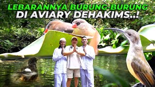 BUKTI KALO KOLAM DAN SUNGAI DI AVIARY MENJADI SUMBER KEHIDUPAN EKOSISTEM AVIARY