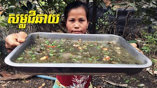 របៀបធ្វើសម្លរជីឆាយ - Seaweed Soup Recipe