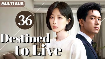 Multi Sub丨𝘿𝙚𝙨𝙩𝙞𝙣𝙚𝙙 𝙩𝙤 𝙇𝙞𝙫𝙚🧣36丨Rekindled Love! Med Student Yang Zi Wins Both Career and Heart!#yangzi