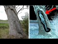 10 Scary Discoveries Found In Unexpected Places