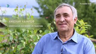 картинка: 