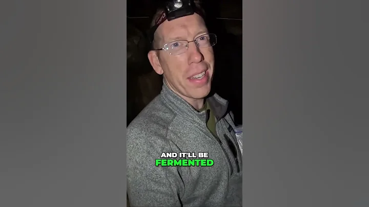 How to Make Delicious Campfire Bread  Easy and Foolproof Recipe