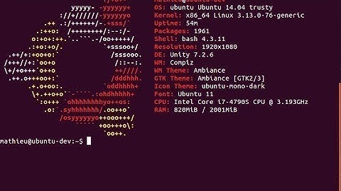 How to use terminal screenfetch on ubuntu