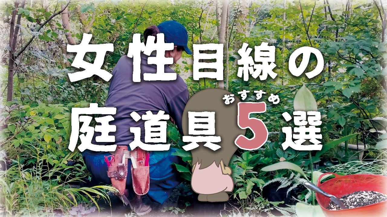 園芸用品　ヘーベルハウス旭化成ツールボックス　ガーデニング　お庭　花　剪定 Professionals choose these garden tools that are easy to use for