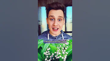 Самые опасные цветы в мире😱😱😱