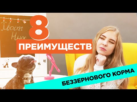 Видео: Это будущее сухого корма для собак?