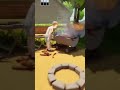 Barbecue demo fire Cook Survive🔥#indiegame #gamedev #indiegames