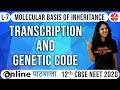 Neet Biology | Molecular Basis of Inheritance | Transcription and Genetic Code - L7 | Dr. Vani Sood