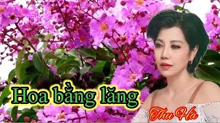 Hoa bằng lăng / ca khúc nhạc Hoa lời Việt hay nhất / cover Thu Hà