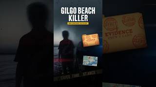 Gilgo Beach Killer: New Evidence Exposes Hidden Trail | True Crime Update #truecrime #shots
