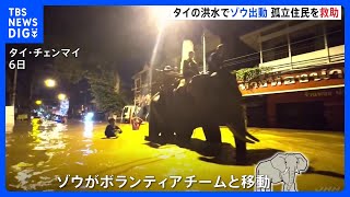 タイの洪水でゾウが出動　孤立住民を救助｜TBS NEWS DIG