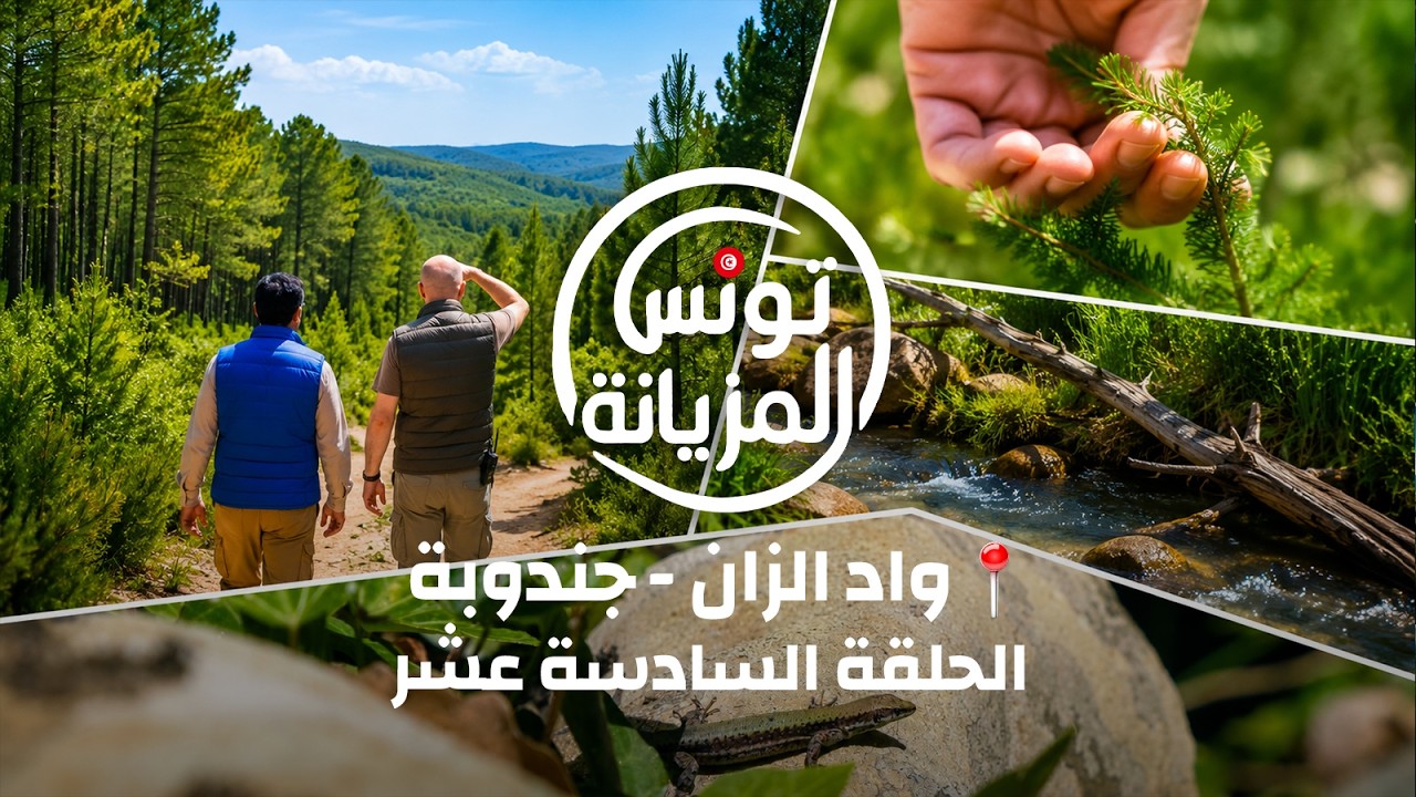 تونس المزيانة في جولة إلى عين دراهم ووادي الزان من ولاية جندوبة