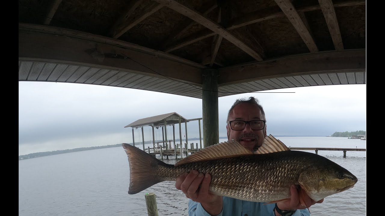 Catching Big Red and Black Drum Doctors Lake! 