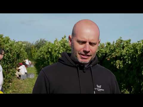 Thumbnail for Brabant wallon Millésime - Domaine W