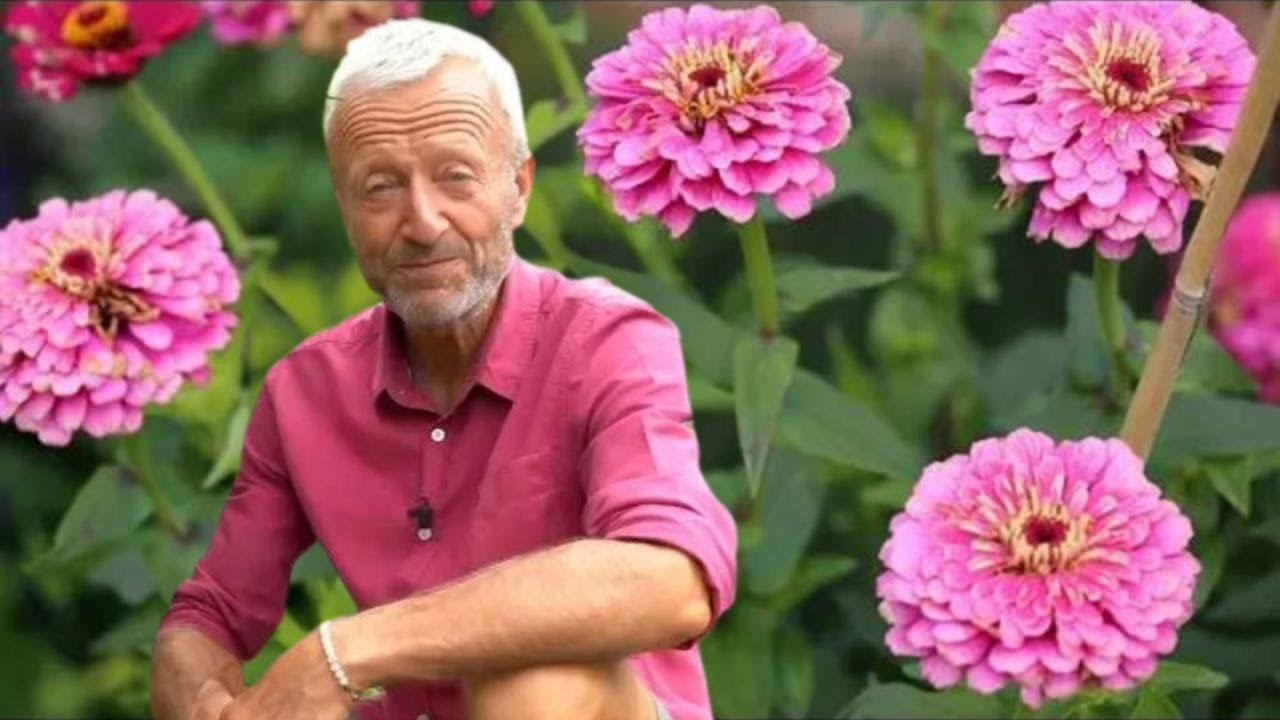 Kwiaty bez przekopywania: wskazówki jak sadzić i pielęgnować latem