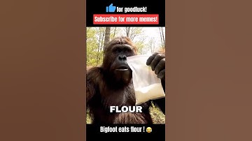 Bigfoot finds white powder! 😂 #memes #shorts #ai #bigfoot