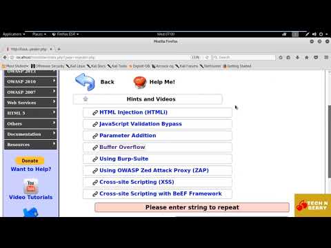 48. Buffer Overflow Attack on a Web Application