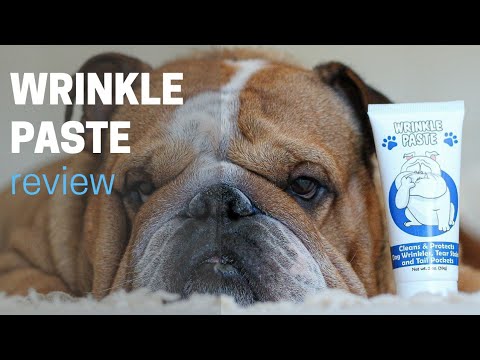 Wrinkle Paste Review - Cleaning An English Bulldog Wrinkles