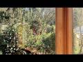 Adelaide Hills Camellia Cottage Wifi, Crafers, Australia | Travel With Chitra