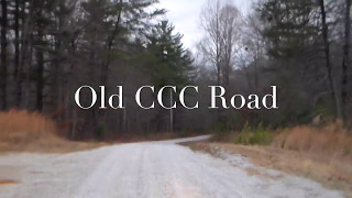 Franklin State Forest, TN