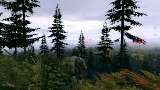 DayZ CFF-Hook