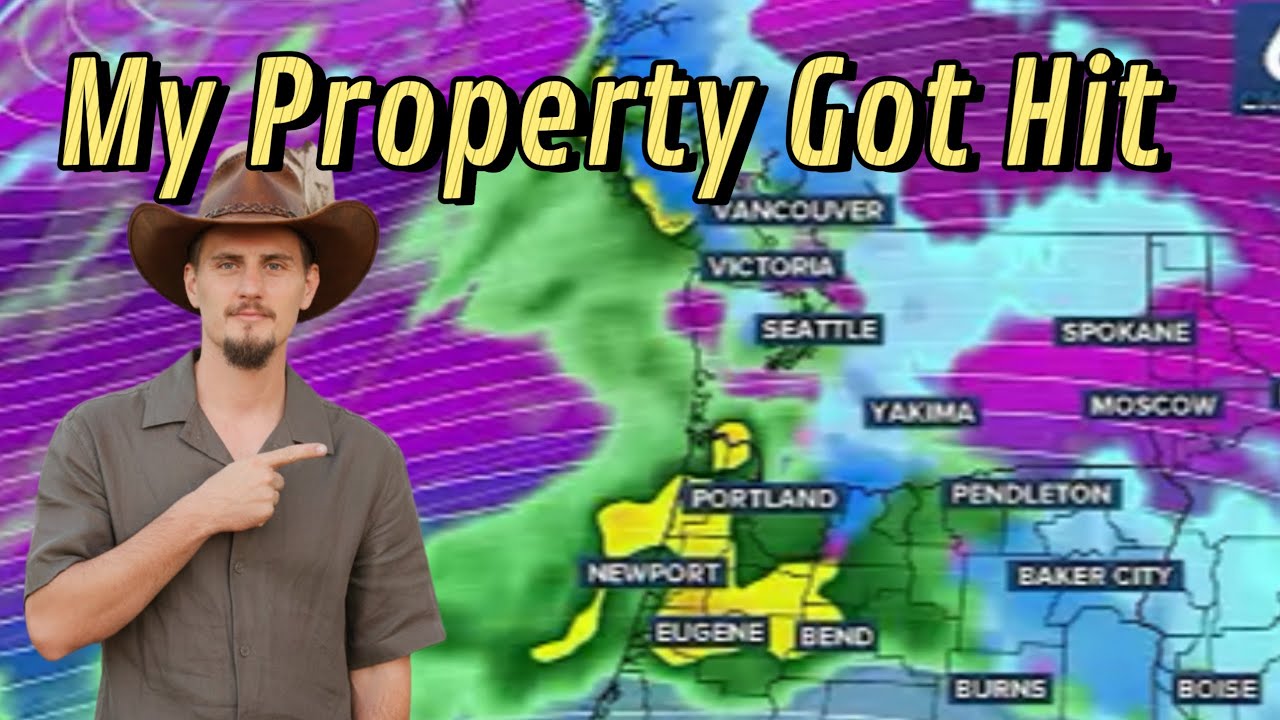 Ужасный ветер в Орегоне! Летающие ветки крушат мой дом. До этого мне генератор не был нужен! 😳🫨