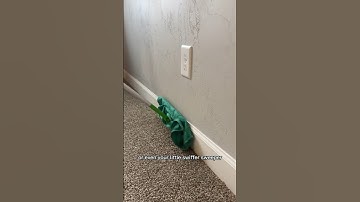 3 ways to clean baseboards #cleaning #diy #howto