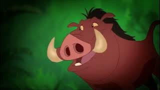 Timon & Pumbaa - Safety Smart - About Fire
