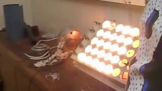 ORC HEAT ENGINE