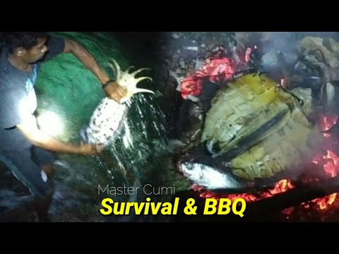 Video: Mengapa Mata Sotong Tidak Biasa