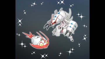 Shiny Wimpod to Golisopod | Pokémon GO