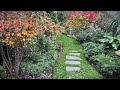 Fall garden tour shrubs trees and perennials with stunning fall foliage color in late october 