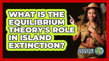 What Is the Equilibrium Theory