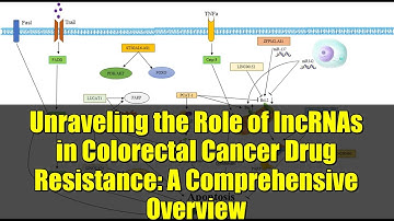 Unraveling the Role of lncRNAs in Colorectal Cancer Drug Resistance: A Comprehensive Overview