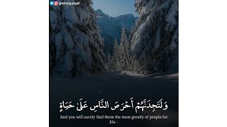 علي صلاح العمر - وَلَتَجِدَنَّهُمْ أَحْرَصَ النَّاسِ عَلَىٰ حَيَاةٍ وَمِنَ الَّذِينَ أَشْرَكُوا