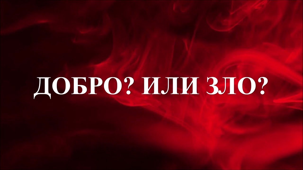 Карина таро новые видео