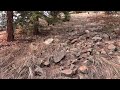 Middle of video