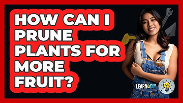 How Can I Prune Plants For More Fruit? - LearnToDIY360.com