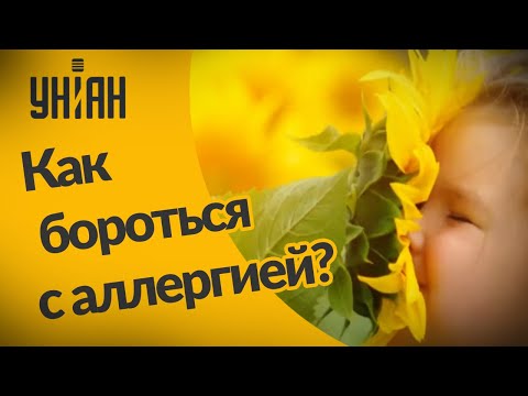 Как появляется аллергия и как с ней бороться?