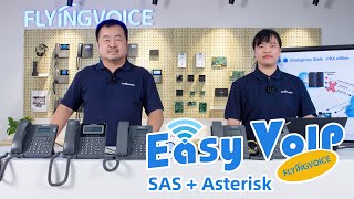 [Easy VoIP] SAS+Asterisk Demonstration screenshot 2