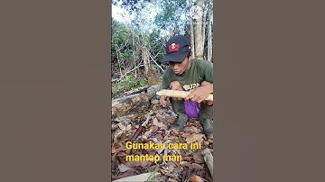 membuat api tanpa korek #shots