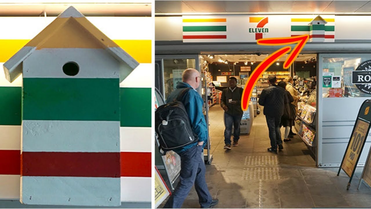 Artist Make Camouflage Birdhouses To Keep The City Birds Out Of Sight - YouTube