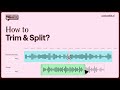 How to Trim or Split Your Audio Track?